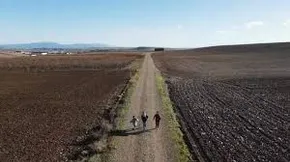 Legezko tratu txarrak XXI. mendean edukiaren posterra
