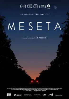 Meseta edukiaren posterra