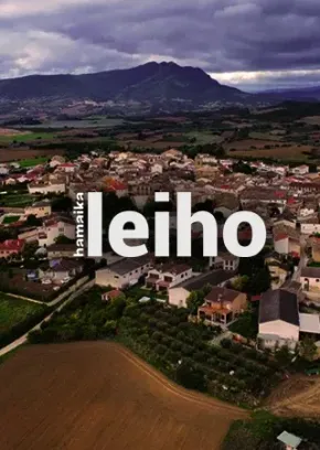 11 leiho edukiaren posterra