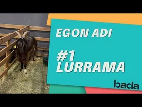 LURRAMA edukiaren irudi txikia