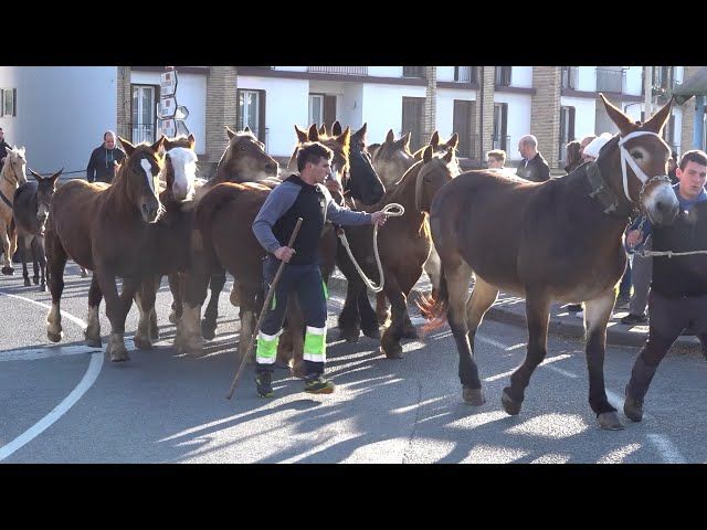 DONEZTEBEKO FERIAK 2024 UR ETA LUR bideoaren irudi txikia