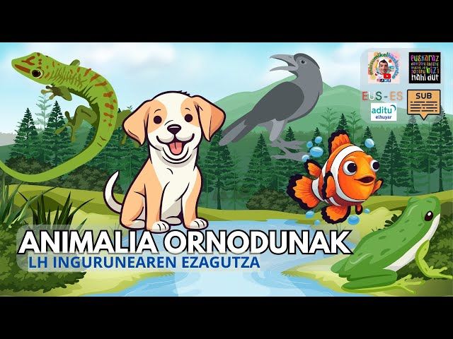 Animalia Ornodunak.🐟🦎🐦🐸🦁 | Ingurunearen ezagutza. | Lehen Hezkuntza. bideoaren irudi txikia