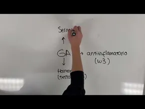 metabolismo eta kirola   Nahia Alcalá eta Nora Cantón bideoaren irudi txikia