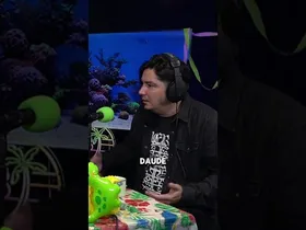 𝗕-𝗔𝗟𝗘𝗔 | 𝗣𝗮𝘂𝗹 𝗨𝗿𝗸𝗶𝗷𝗼: ❞EHan dirua egon badago, nola admininistratzen den da arazoa...❞ edukiaren irudi txikia