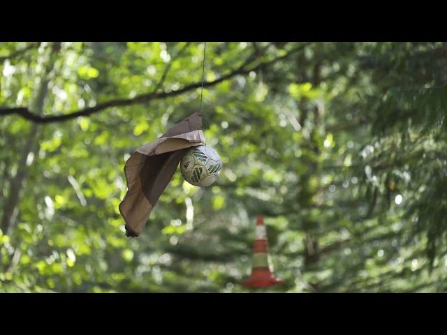 39 | Teaser bideoaren irudi txikia