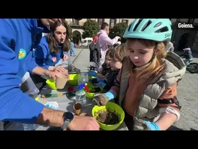 Zuhaitzetik zuhaitzera ibili dira asteburuan Oñatin edukiaren irudi txikia