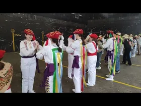 Beasaingo Ostadar dantza taldearen inauteri herrikoia edukiaren irudi txikia