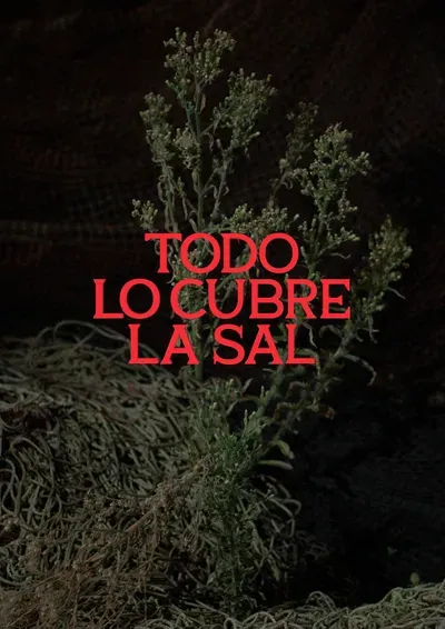 Todo lo cubre la sal