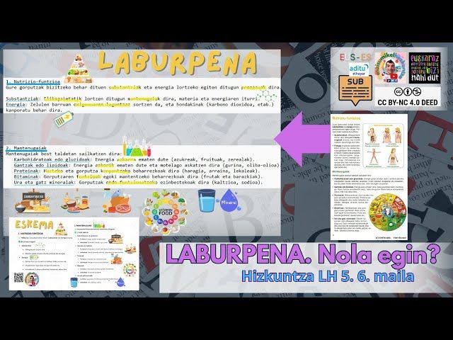 📝 Testuaren LABURPENA egiten ikasi! Gako hitzak eta paragrafoak ( LH 5-6) bideoaren irudi txikia