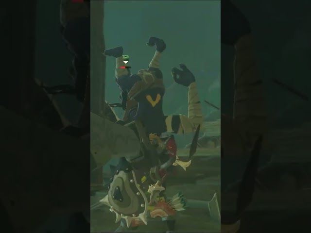 DORREZ DORRE | ZELDA BREATH OF THE WILD | #19 | BYKUGGAN KIDS | SHORT #6 #zelda #botw #totk bideoaren irudi txikia
