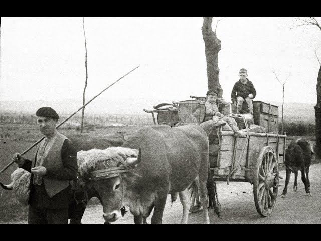 Gerraren hasiera bideoaren irudi txikia