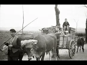 Gerraren hasiera bideoaren irudi txikia