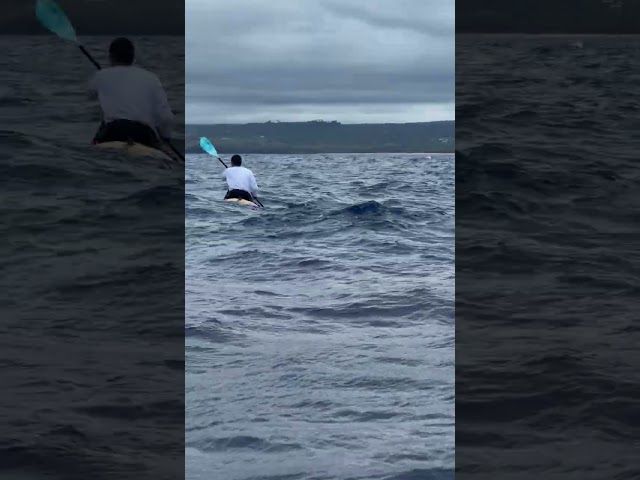 Kaiwi Channel ·HELMUGARA BIDEAN bideoaren irudi txikia