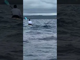 Kaiwi Channel ·HELMUGARA BIDEAN edukiaren irudi txikia