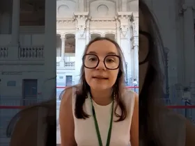 Bouvierren defentsa: biktimizazioa edukiaren irudi txikia