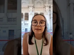 Bouvierren defentsa: biktimizazioa bideoaren irudi txikia