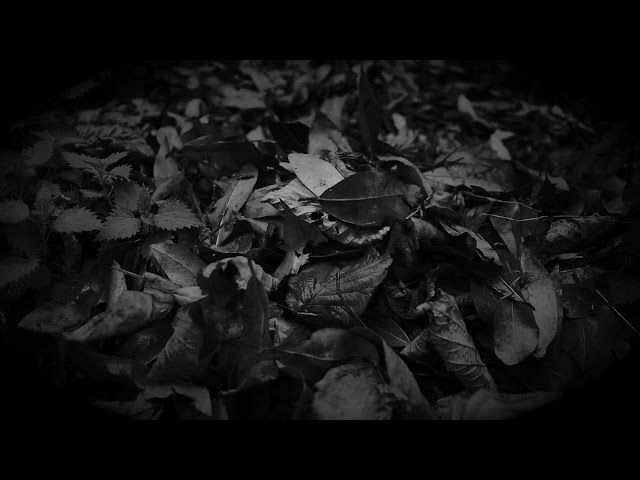 GAU BELTZA 2022 - BELDURREZKO IBILBIDEA bideoaren irudi txikia