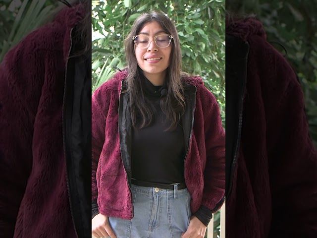 1 Euskaraz bideoaren irudi txikia