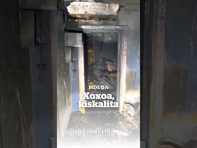 Xoxoa estudioa, kiskalita | BINKE bideoaren irudi txikia
