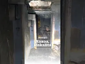 Xoxoa estudioa, kiskalita | BINKE edukiaren irudi txikia