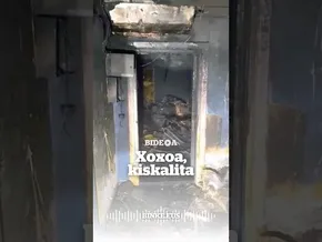 Xoxoa estudioa, kiskalita | BINKE bideoaren irudi txikia
