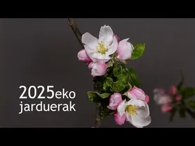 Labayru − Laguntzaileen Batzar Nagusia 2026 | 2025eko jarduerak edukiaren irudi txikia