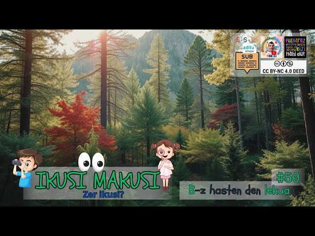 Ikusi Makusi 50 | Zer leku da? B letrarekin hasten da! 🌲 bideoaren irudi txikia