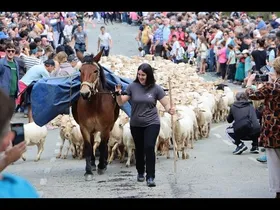 Aralarko larreak irekitzeko festa Larraitzen 2026 edukiaren irudi txikia