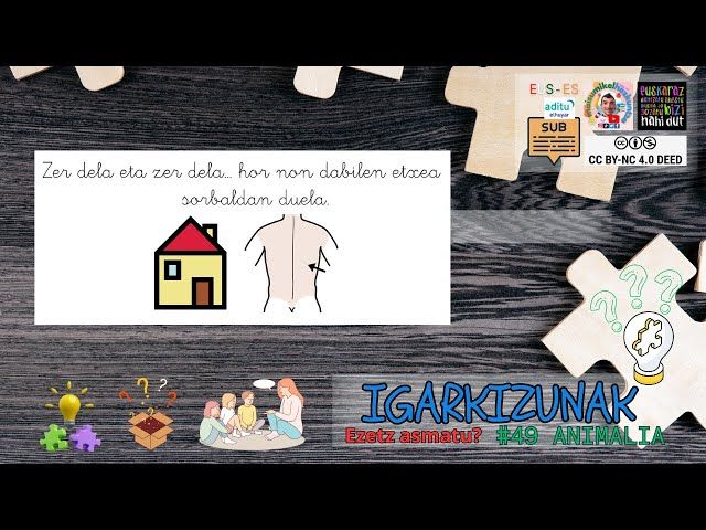 ❓ Igarkizunak #49 | Animalien jokoa | Euskara – Lehen Hezkuntza bideoaren irudi txikia