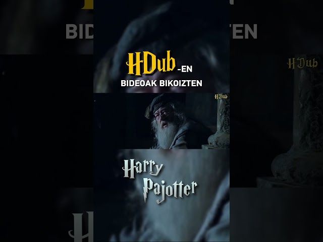 HDUBen BIDEOAK BIKOIZTEN - HARRY PAJOTTER bideoaren irudi txikia