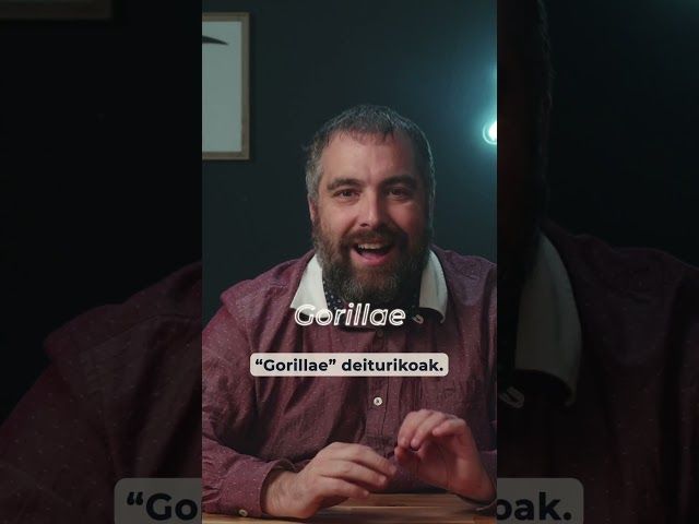 👀 Gorilak al gara behelaino artean? bideoaren irudi txikia