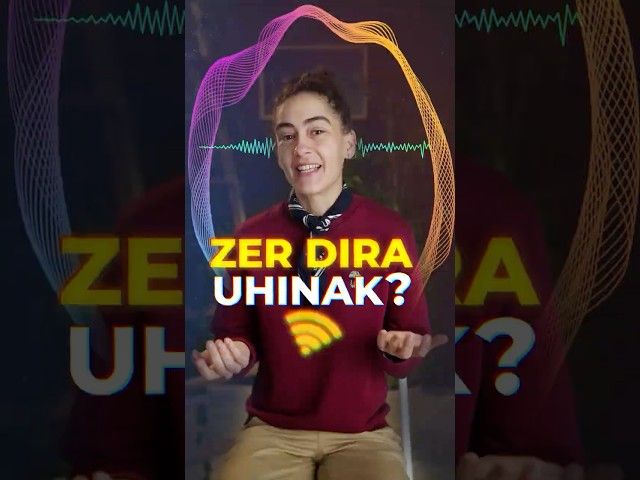 Zer dira uhinak? bideoaren irudi txikia
