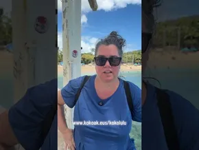 WAIKIKI 1. eguna da dordoka bideoaren irudi txikia
