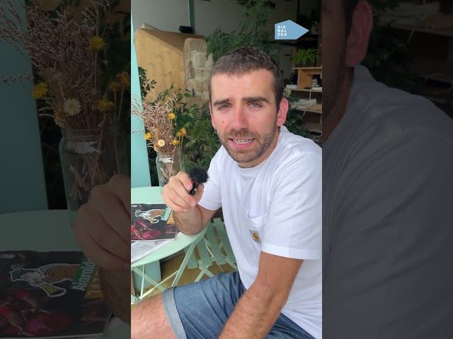 Kalean da Aiaraldea Hemen hamabostekariaren ikasturteko azken zenbakia bideoaren irudi txikia