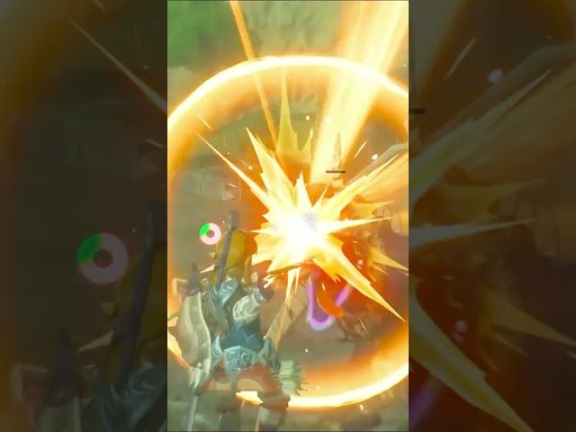 OROITZAPEN BERRIAK | ZELDA BREATH OF THE WILD | #24 | BYKUGGAN KIDS | SHORT #8 #zelda #botw #totk bideoaren irudi txikia