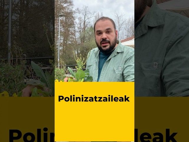 👀 Animalia polinizatzaileak arriskuan daude? bideoaren irudi txikia