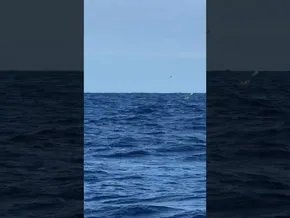 Kaiwi Channel · 6 ORDU IGERIAN bideoaren irudi txikia
