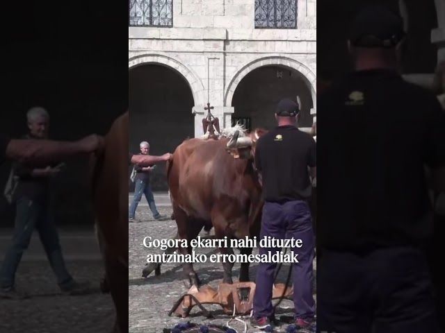 Erromesaldia ate baten atzetik bideoaren irudi txikia